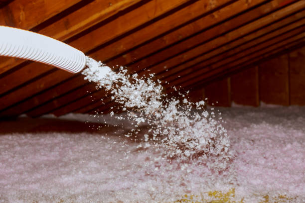 Best Specialized Insulation Services in Willacoochee, GA