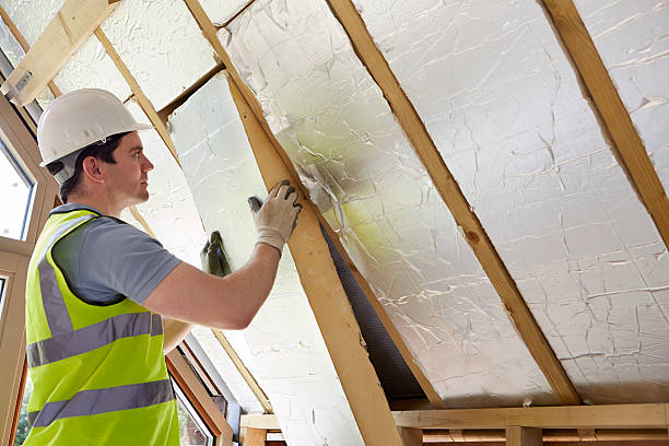 Types of Insulation We Offer in Willacoochee, GA