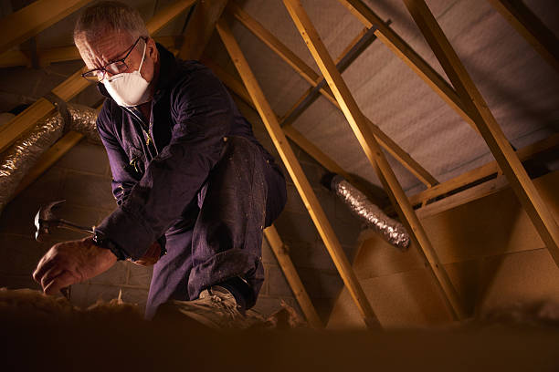 Best Fiberglass Insulation in Willacoochee, GA