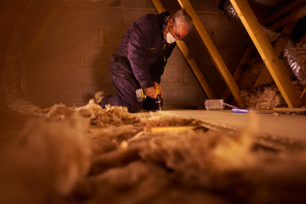 Best Eco-Friendly Insulation in Willacoochee, GA